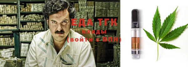 гашик Вяземский