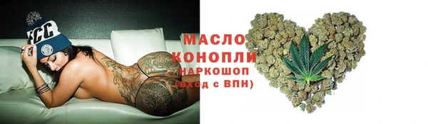гашик Вяземский