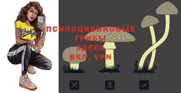 гашик Вяземский