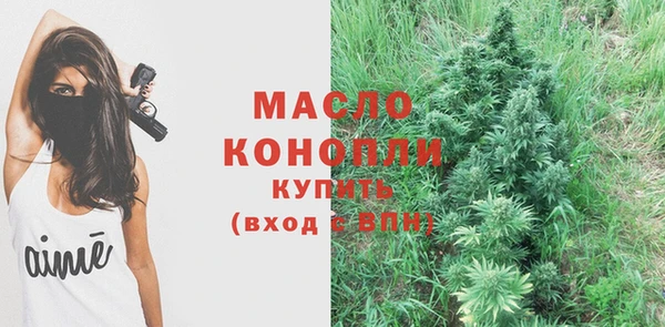 гашик Вяземский