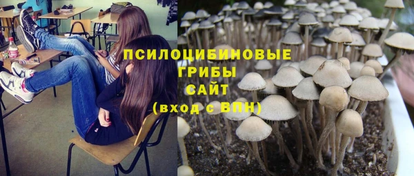гашик Вяземский