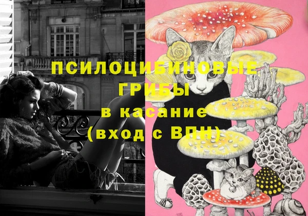 ГАЛЛЮЦИНОГЕННЫЕ ГРИБЫ Вязьма