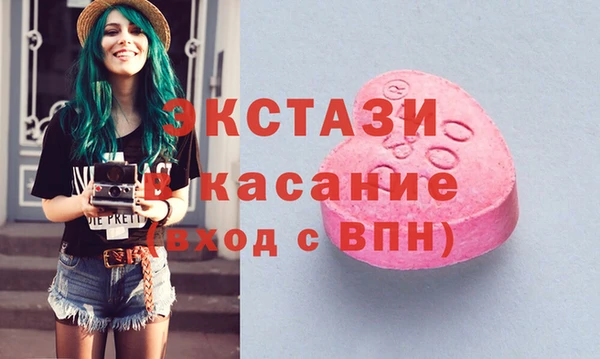 гашик Вяземский