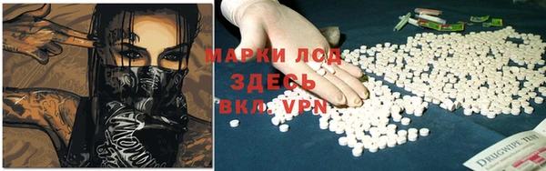 гашик Вяземский