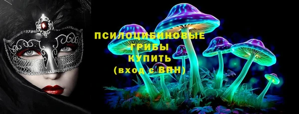 гашик Вяземский