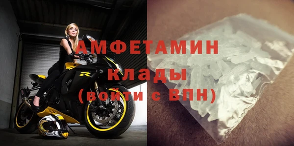 гашик Вяземский