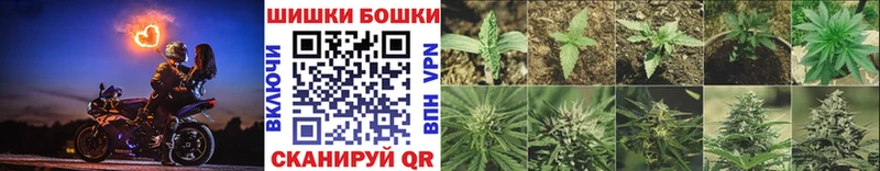 Купить закладки  Полесск  Канабис SATIVA & INDICA 